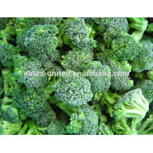 quick frozen broccoli